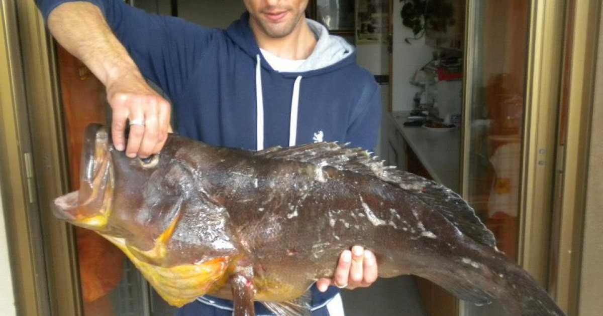 Gli apneisti di Bari: �A 25 metri sott'acqua per trovare pesci meno ''smaliziati''�